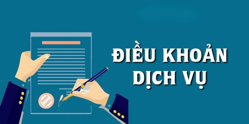 Trách nghiệm của người chơi trong các điều khoản